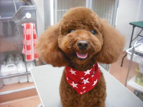 ファイル 1914-1.jpg