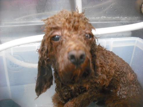 ファイル 1914-2.jpg