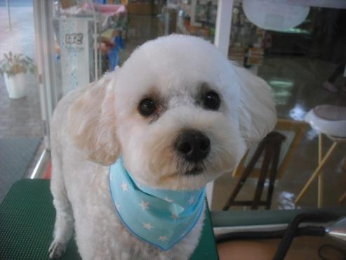 ファイル 1916-1.jpg