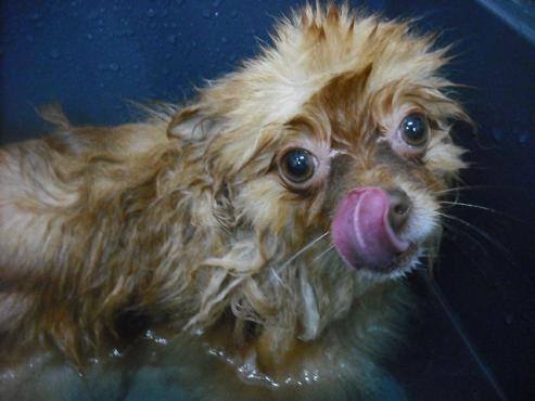 ファイル 1919-2.jpg