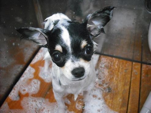 ファイル 192-2.jpg