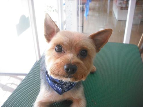 ファイル 1920-1.jpg