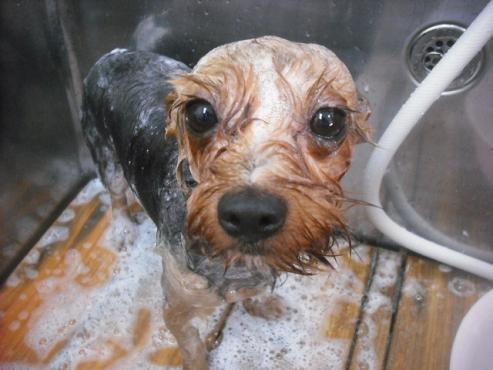 ファイル 1920-2.jpg