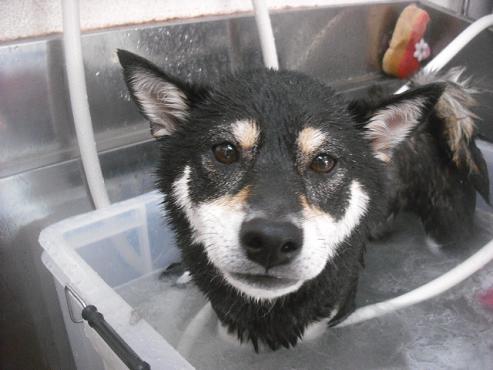 ファイル 1921-2.jpg