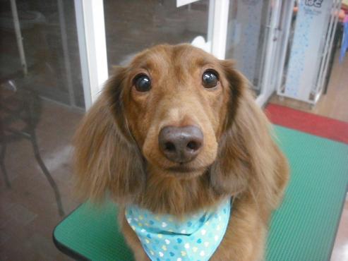 ファイル 1923-1.jpg