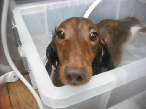 ファイル 1923-2.jpg