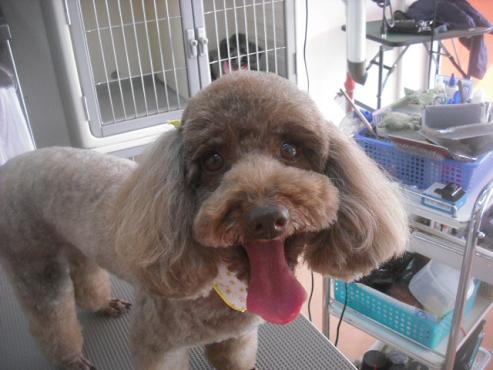 ファイル 1924-1.jpg