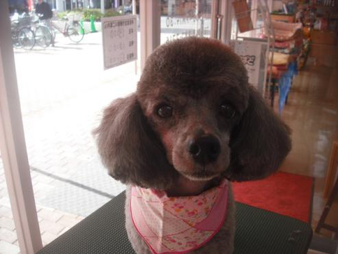 ファイル 1925-1.jpg