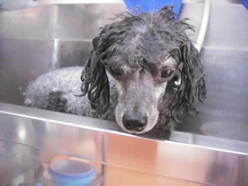 ファイル 1925-2.jpg