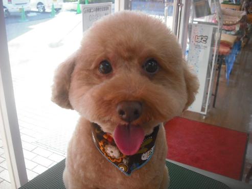 ファイル 1926-1.jpg