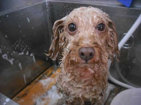 ファイル 1926-2.jpg