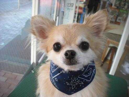 ファイル 1927-1.jpg