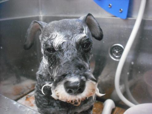 ファイル 1928-2.jpg