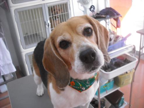 ファイル 1929-1.jpg