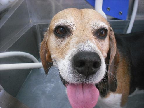 ファイル 1929-2.jpg