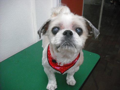 ファイル 193-1.jpg