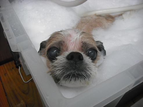 ファイル 193-2.jpg