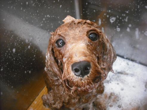 ファイル 1931-2.jpg