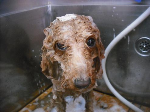 ファイル 1932-3.jpg