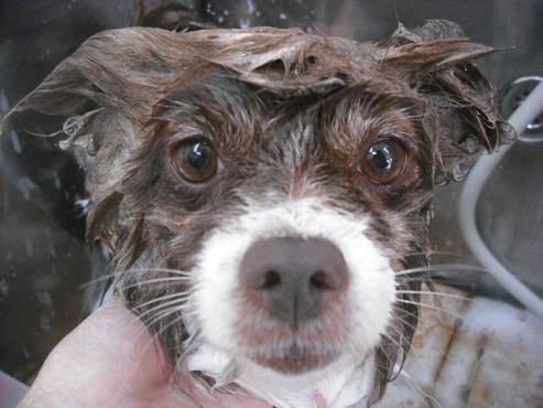 ファイル 1933-3.jpg