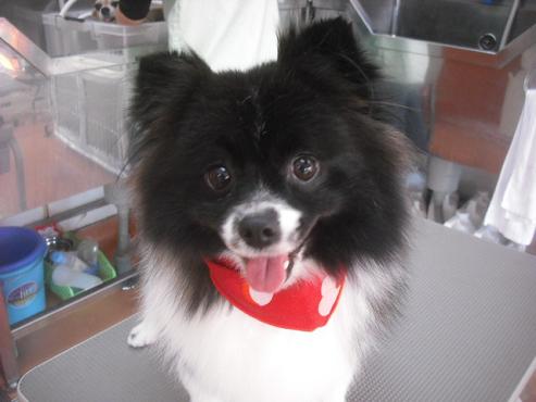 ファイル 1934-1.jpg