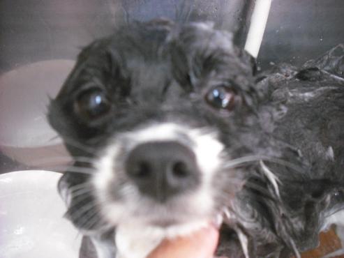 ファイル 1934-2.jpg