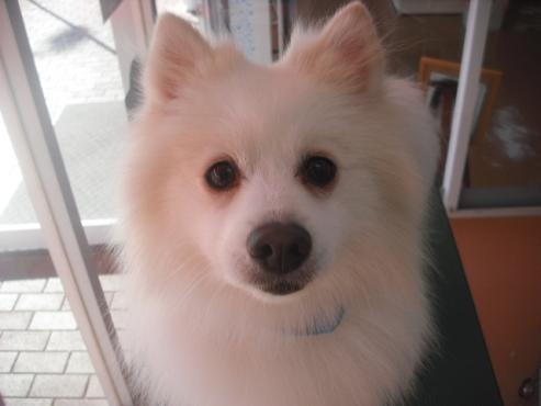 ファイル 1935-1.jpg