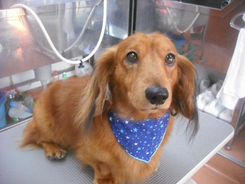 ファイル 1936-1.jpg