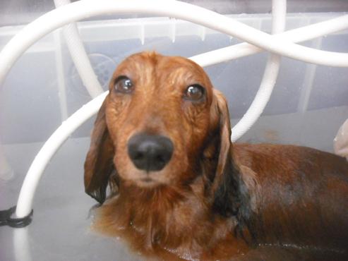 ファイル 1936-3.jpg