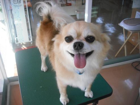 ファイル 1937-1.jpg