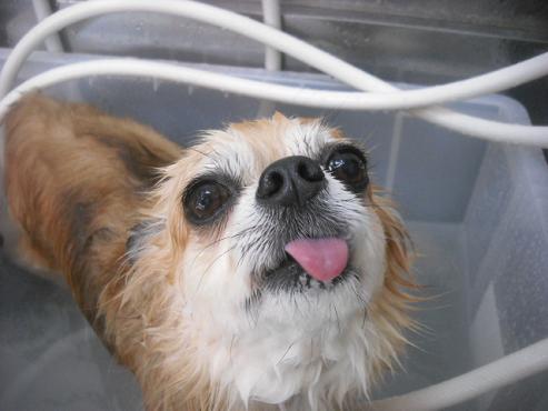 ファイル 1937-2.jpg