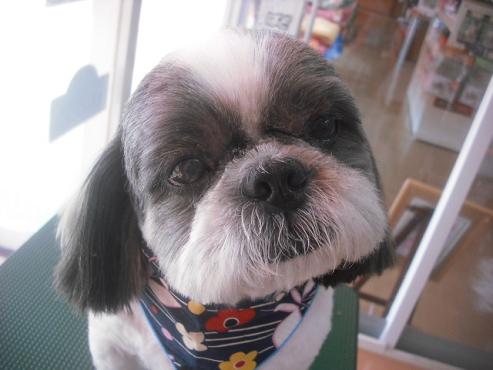 ファイル 1938-1.jpg