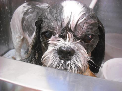 ファイル 1938-2.jpg