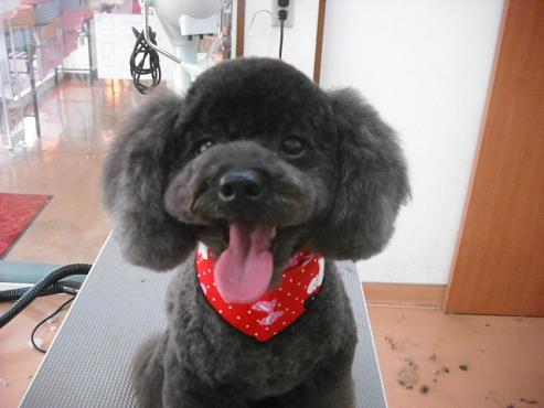 ファイル 194-1.jpg