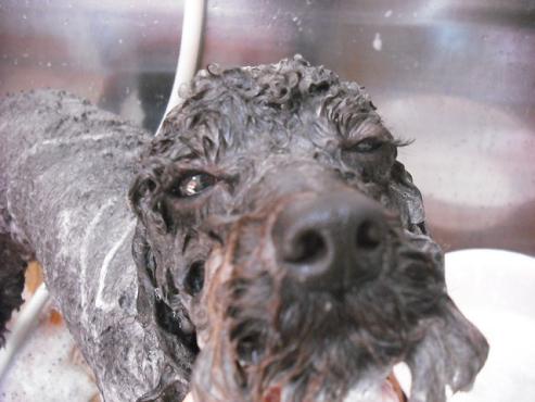 ファイル 194-2.jpg