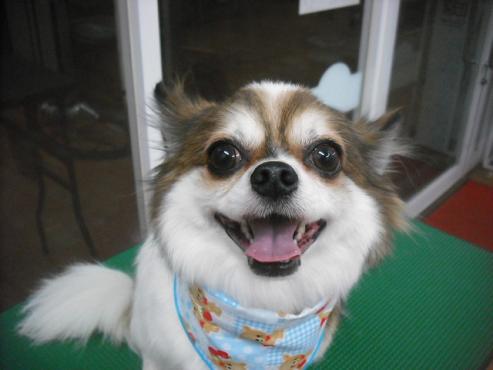 ファイル 1941-1.jpg