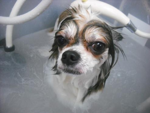 ファイル 1941-2.jpg