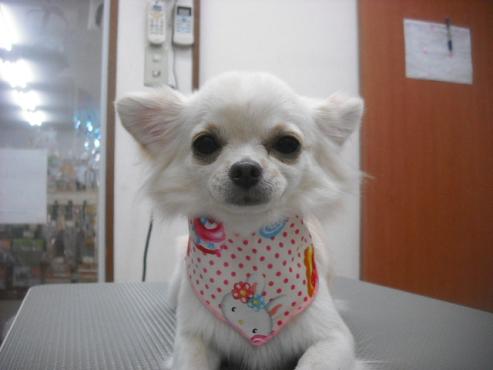 ファイル 1942-1.jpg