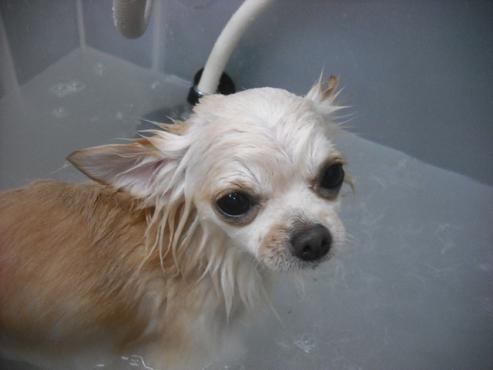 ファイル 1942-2.jpg