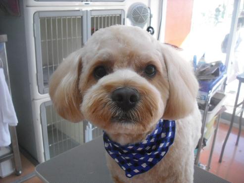 ファイル 1944-1.jpg