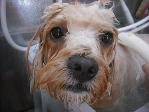 ファイル 1944-2.jpg