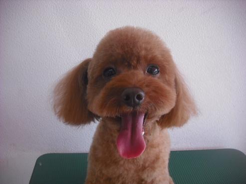 ファイル 1945-1.jpg