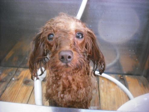 ファイル 1945-2.jpg