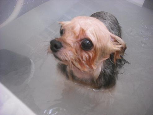 ファイル 1946-2.jpg