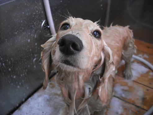 ファイル 195-2.jpg