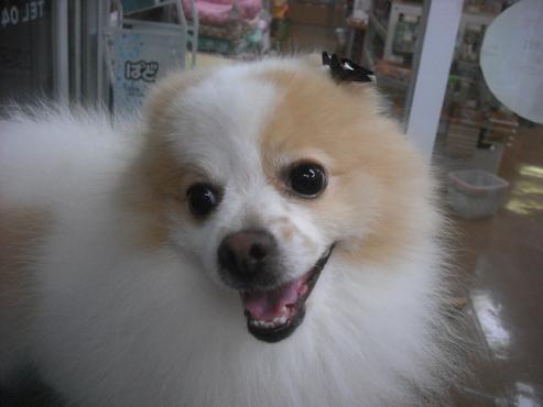 ファイル 1950-1.jpg