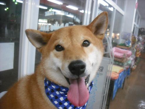 ファイル 1951-1.jpg