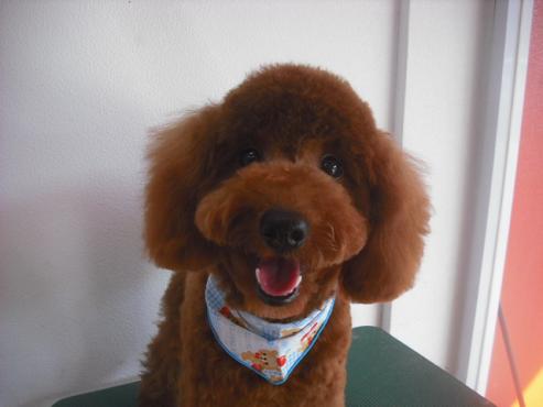 ファイル 1952-1.jpg