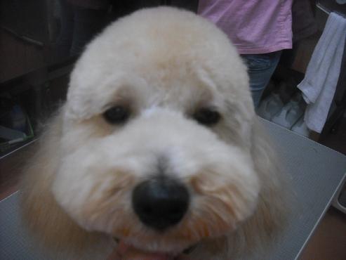 ファイル 1953-1.jpg