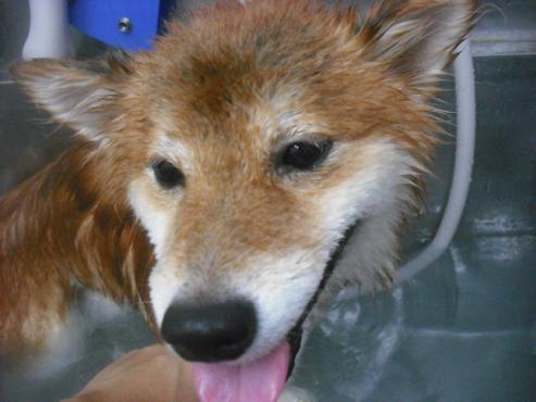 ファイル 1955-2.jpg